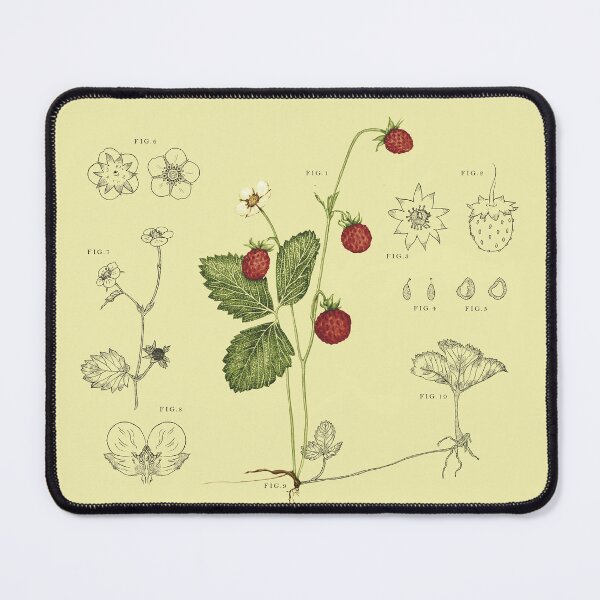 Item preview, Fragaria Vesca designed and sold by mariamadriguera.