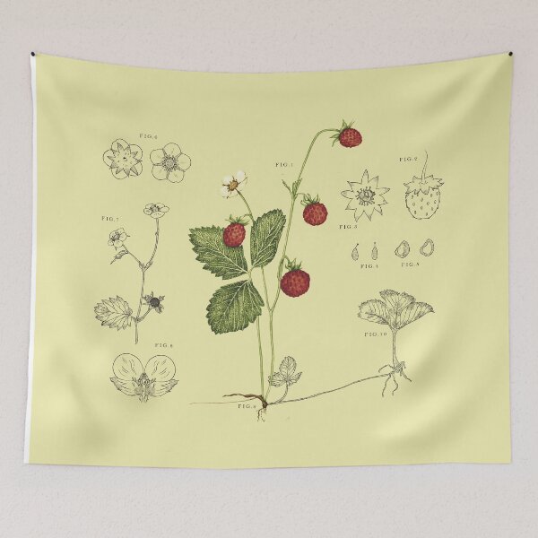Item preview, Fragaria Vesca designed and sold by mariamadriguera.