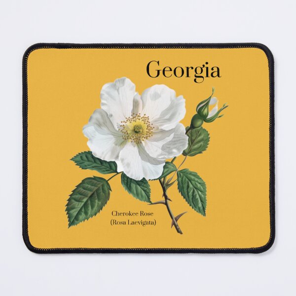 Item preview, Georgia State Flower designed and sold by UglyMandalas.