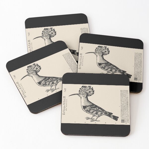 Item preview, Hoopoe Bird 16th Century, Historia Animalium designed and sold by RocketshipRetro.