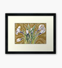 Crocuses Framed Print