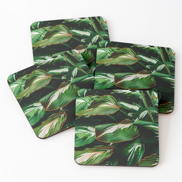 Item preview, Aglaonema green leaves designed and sold by OxeLiveHappier.