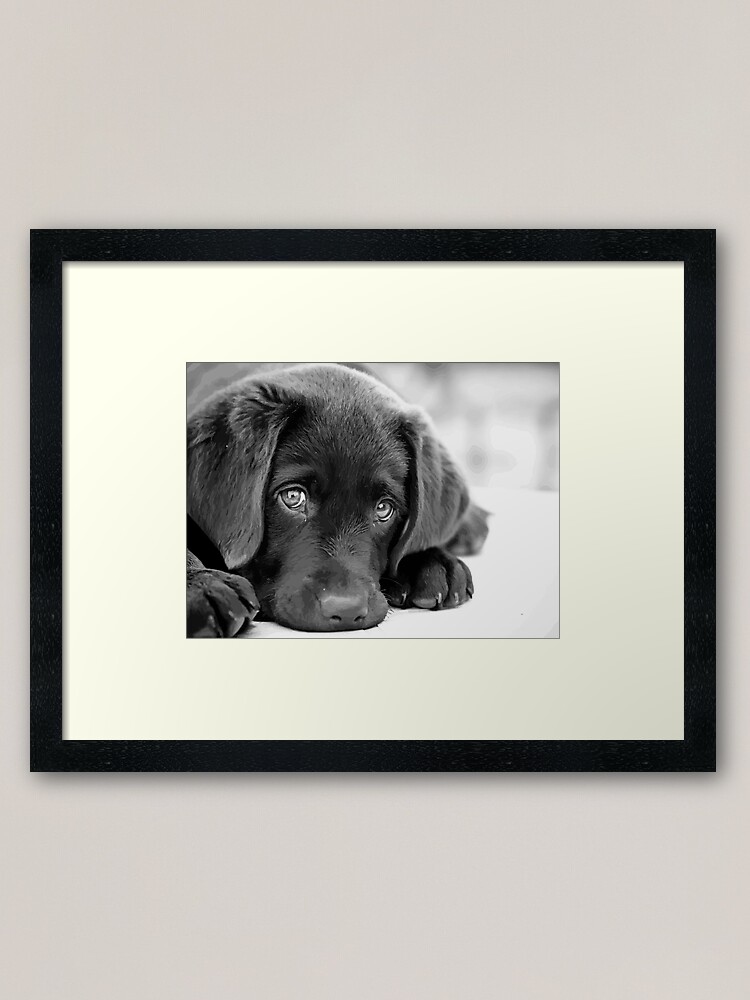 black lab wall decor
