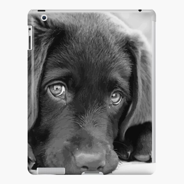 Black Lab Puppy - Chocolate Lab Puppy - Black & White Puppy iPad Snap Case