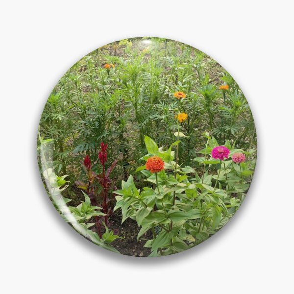 Item preview, Garden zinnias  designed and sold by JilleArt Designs.