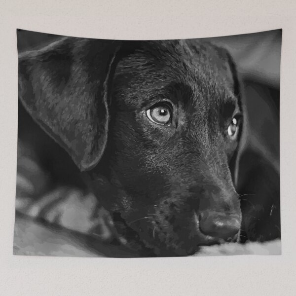 Item preview, Black Lab Puppy - Chocolate Lab Puppy - Black & White Puppy designed and sold by BlackDogArtJudy.