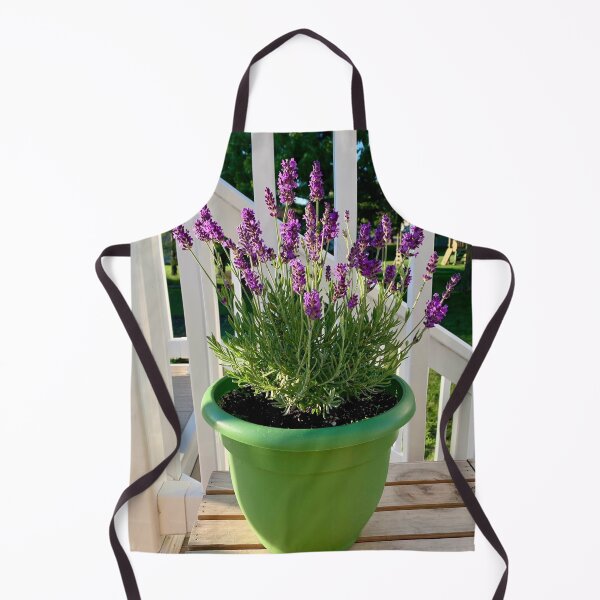 Item preview, Lavender in green pot designed and sold by JilleArt Designs.