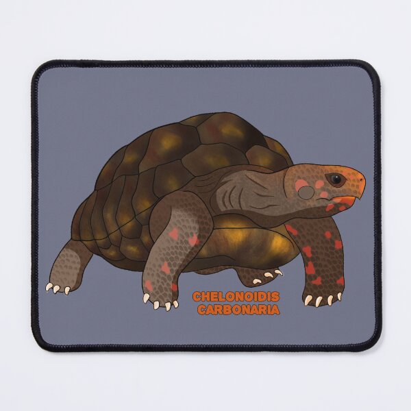 Item preview, Yellow-footed tortoise - Chelonoidis carbonaria designed and sold by Azviel Art & Craft.