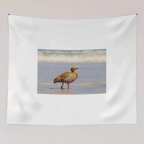 Item preview, Ruddy-Headed Goose designed and sold by Jan Fijolek.