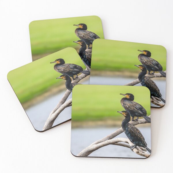 Item preview, Great Cormorants designed and sold by Jan Fijolek.