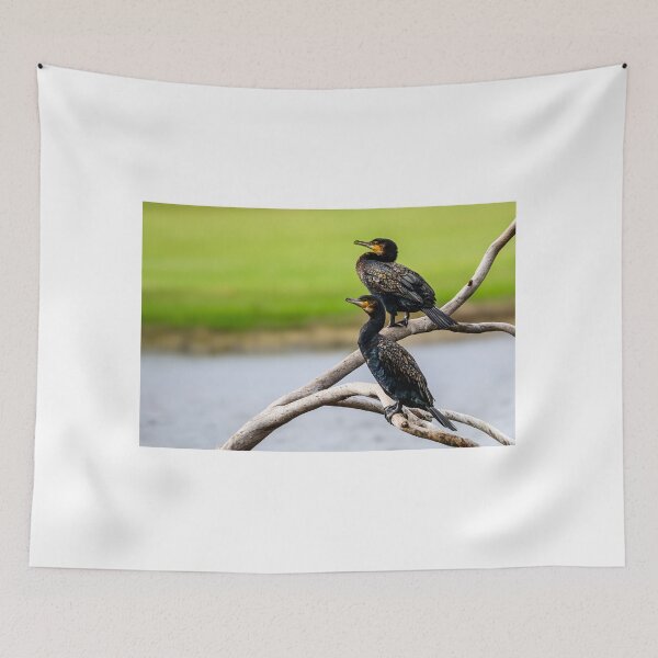 Item preview, Great Cormorants designed and sold by Jan Fijolek.