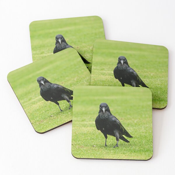 Item preview, Australian Raven designed and sold by Jan Fijolek.