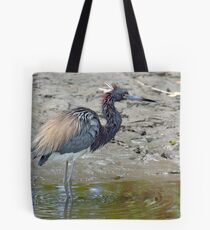 Tricolored Heron Tote Bag
