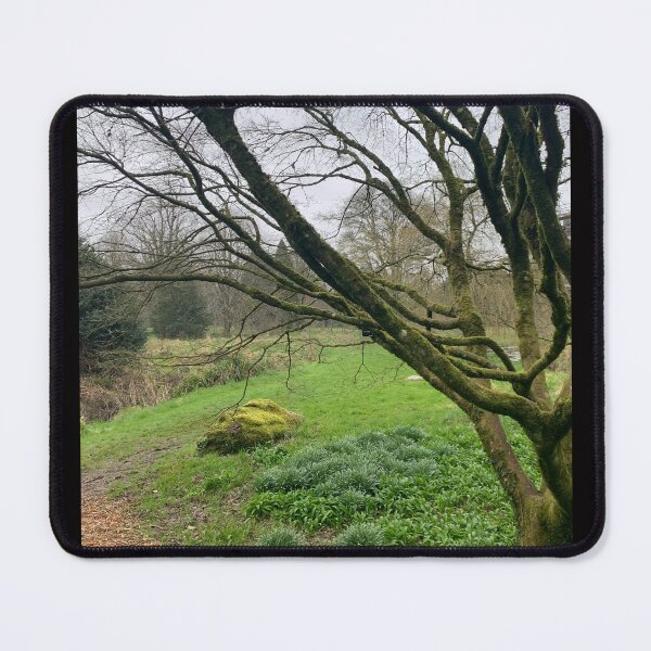 Item preview, Blarney Castle and Gardens designed and sold by discocowgirl.