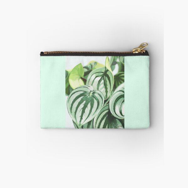 Item preview, Watermelon Peperomia plant lover designed and sold by camilacarvalho.