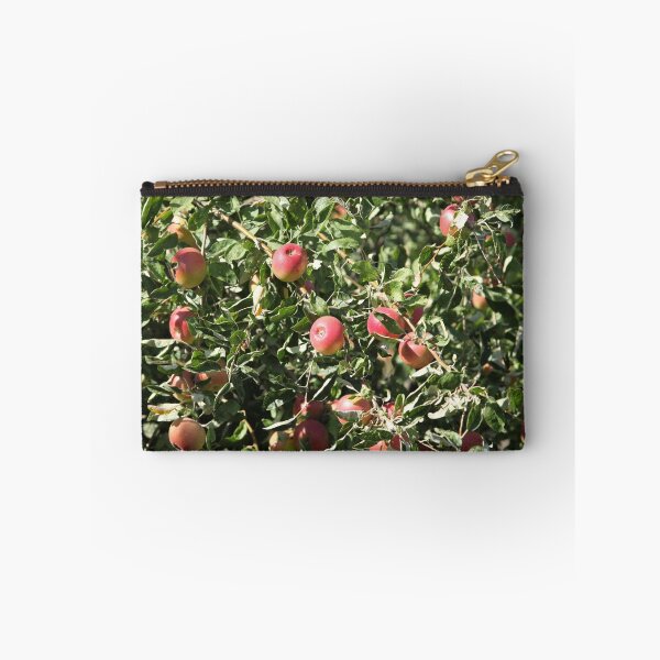 Item preview, Ripe apples  on the tree designed and sold by mrivserg.