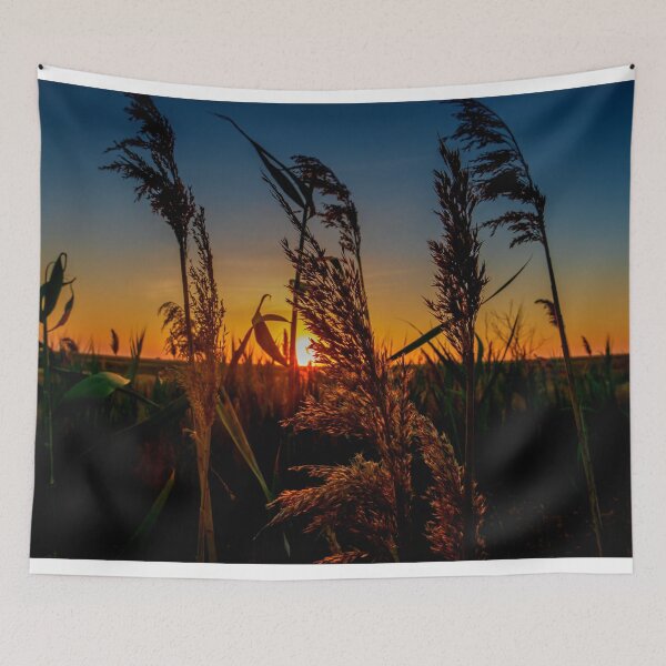 Item preview, grass in the field designed and sold by IgorKovalenko.