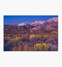 Sierras Alpine Glow Photographic Print