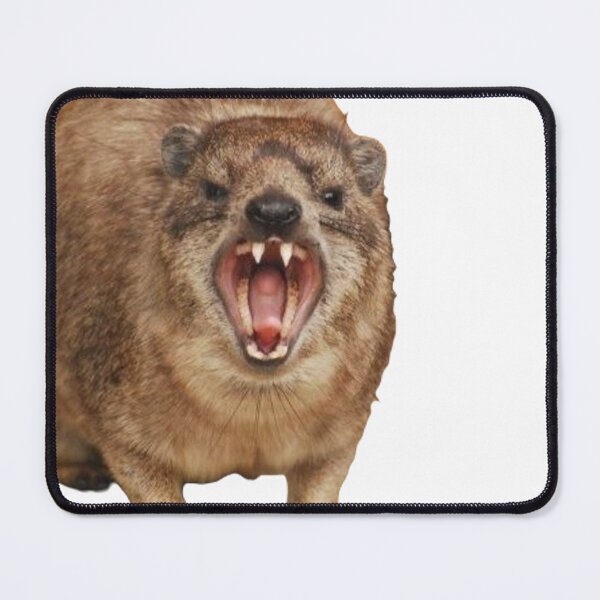 Item preview, Angry rock hyrax designed and sold by SillyLittleSnek.
