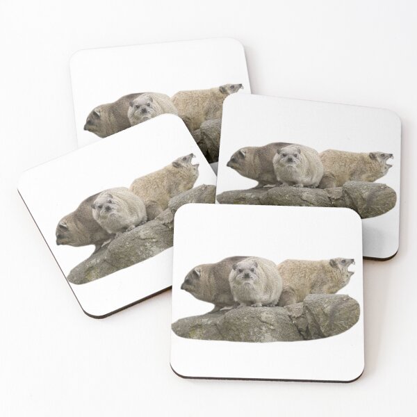 Item preview, Three rock hyrax  designed and sold by SillyLittleSnek.