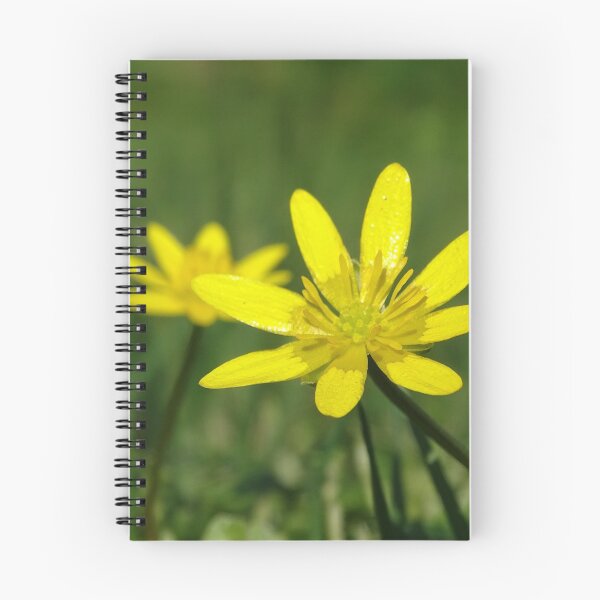 Item preview, Celidonia menor en el nivel designed and sold by Barrie Woodward.