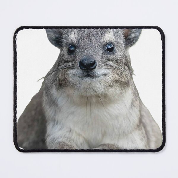 Item preview, Rock hyrax  designed and sold by SillyLittleSnek.