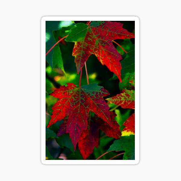 Item preview, The colors of fall designed and sold by jammingene.