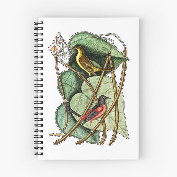 Item preview, Baltimore Oriole Birds Perched On Leaves designed and sold by RocketshipRetro.