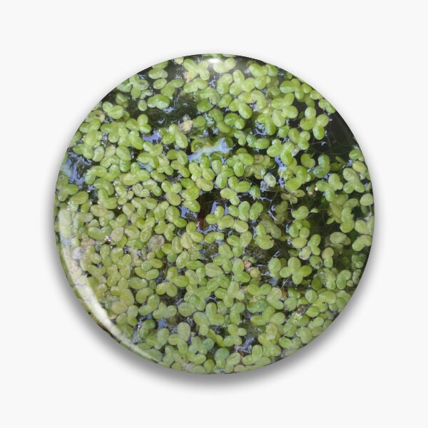 Item preview, Pondweed Stain designed and sold by Mouldy-Maggot.