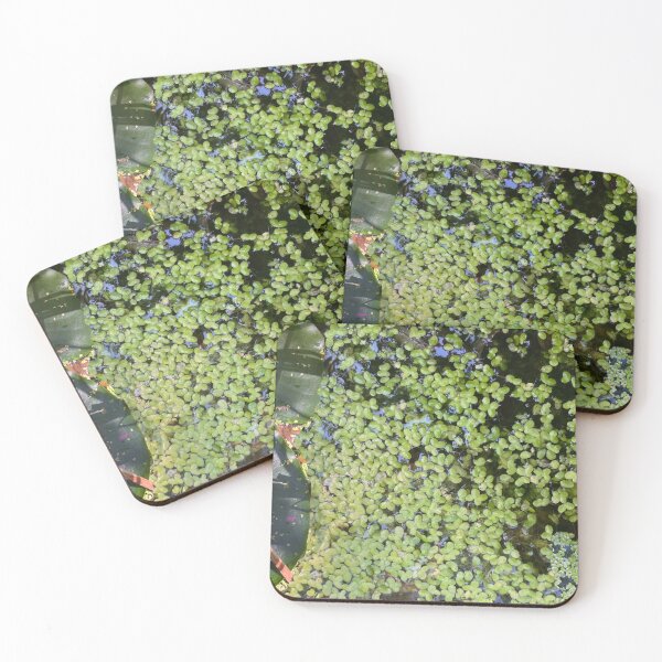 Item preview, Pondweed Stain designed and sold by Mouldy-Maggot.
