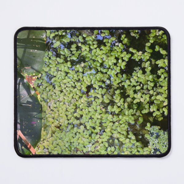 Item preview, Pondweed Stain designed and sold by Mouldy-Maggot.