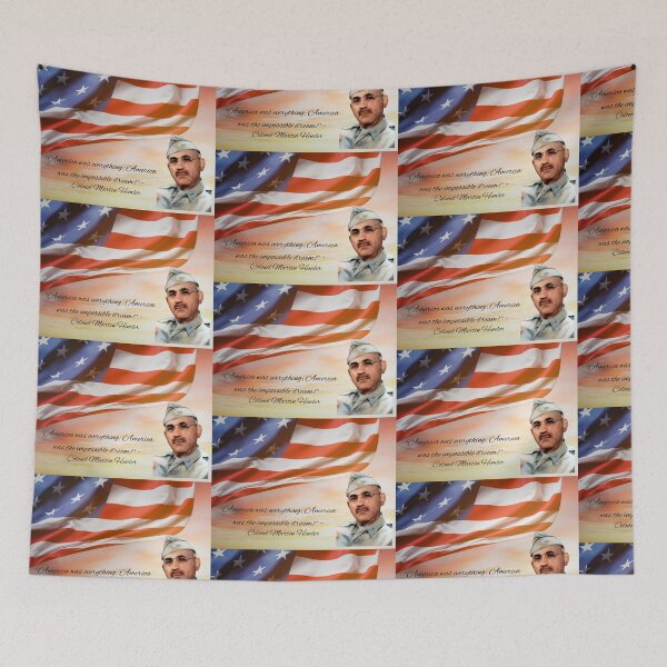 Item preview, America Was Everything designed and sold by JoezPlace.