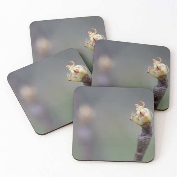 Item preview, Bud designed and sold by Calidris Fotografie Steffi & Ben Köppler.