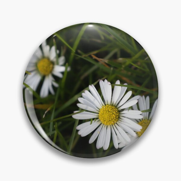 Item preview, Daisies designed and sold by Calidris Fotografie Steffi & Ben Köppler.
