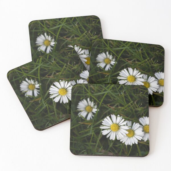 Item preview, Daisies designed and sold by Calidris Fotografie Steffi & Ben Köppler.