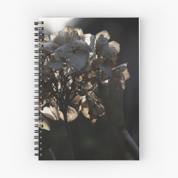 Item preview, Hortensia designed and sold by Calidris Fotografie Steffi & Ben Köppler.