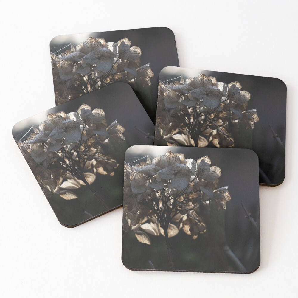 Item preview, Coasters (Set of 4) designed and sold by steffik.