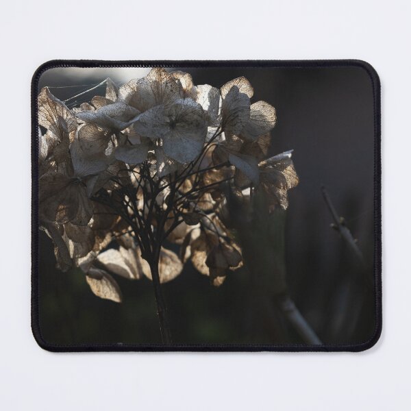Item preview, Hydrangea designed and sold by Calidris Fotografie Steffi & Ben Köppler.