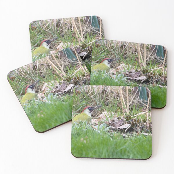 Item preview, European green woodpecker designed and sold by Calidris Fotografie Steffi & Ben Köppler.