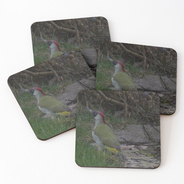 Item preview, European green woodpecker designed and sold by Calidris Fotografie Steffi & Ben Köppler.