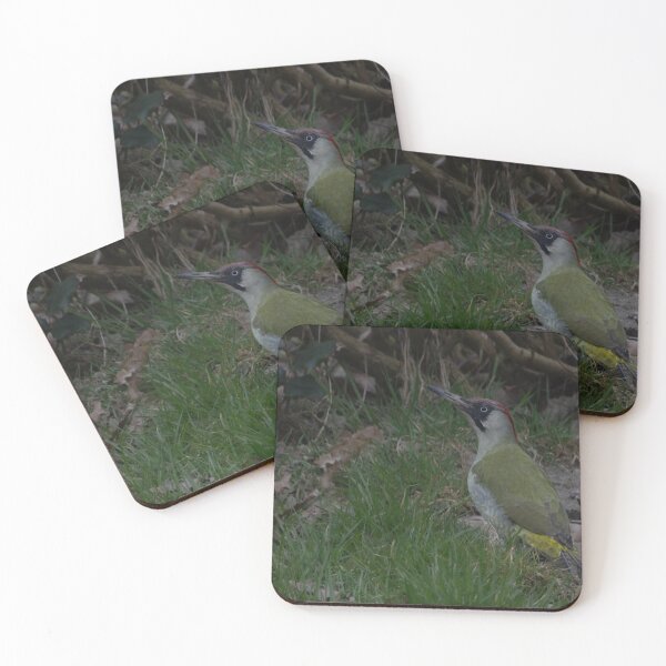 Item preview, European green woodpecker designed and sold by Calidris Fotografie Steffi & Ben Köppler.
