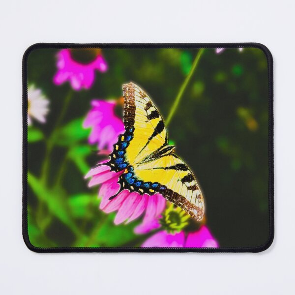 Item preview, Butterfly Photograph designed and sold by dddesignsnj.