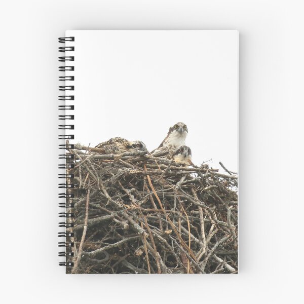 Item preview, Osprey mom with 2 chicks designed and sold by locustgirl.