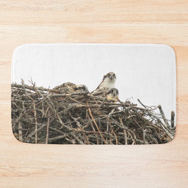 Item preview, Osprey mom with 2 chicks designed and sold by locustgirl.
