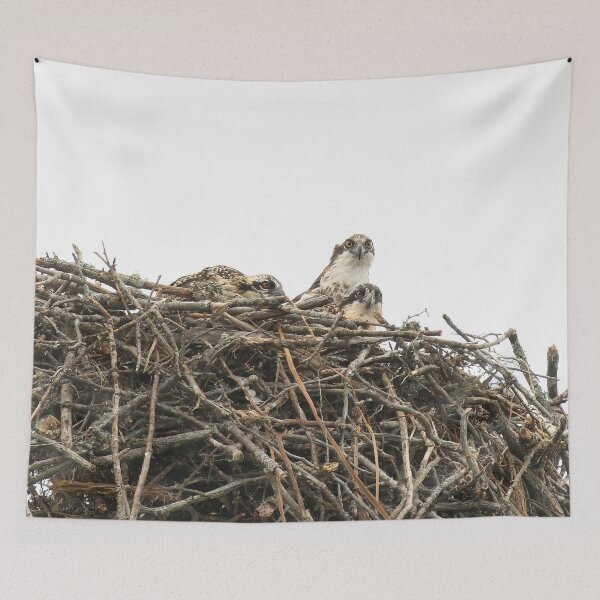 Item preview, Osprey mom with 2 chicks designed and sold by locustgirl.