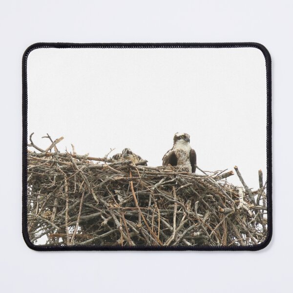 Item preview, Osprey and baby designed and sold by locustgirl.