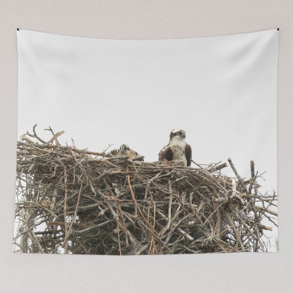 Item preview, Osprey and baby designed and sold by locustgirl.
