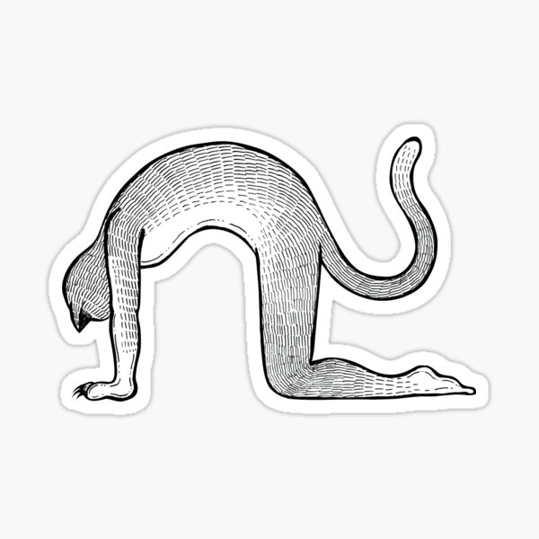 Cat Pose / Marjaryasana Sticker