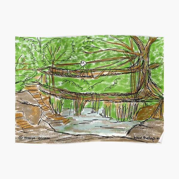 Meghalaya's Living Root Bridges Poster