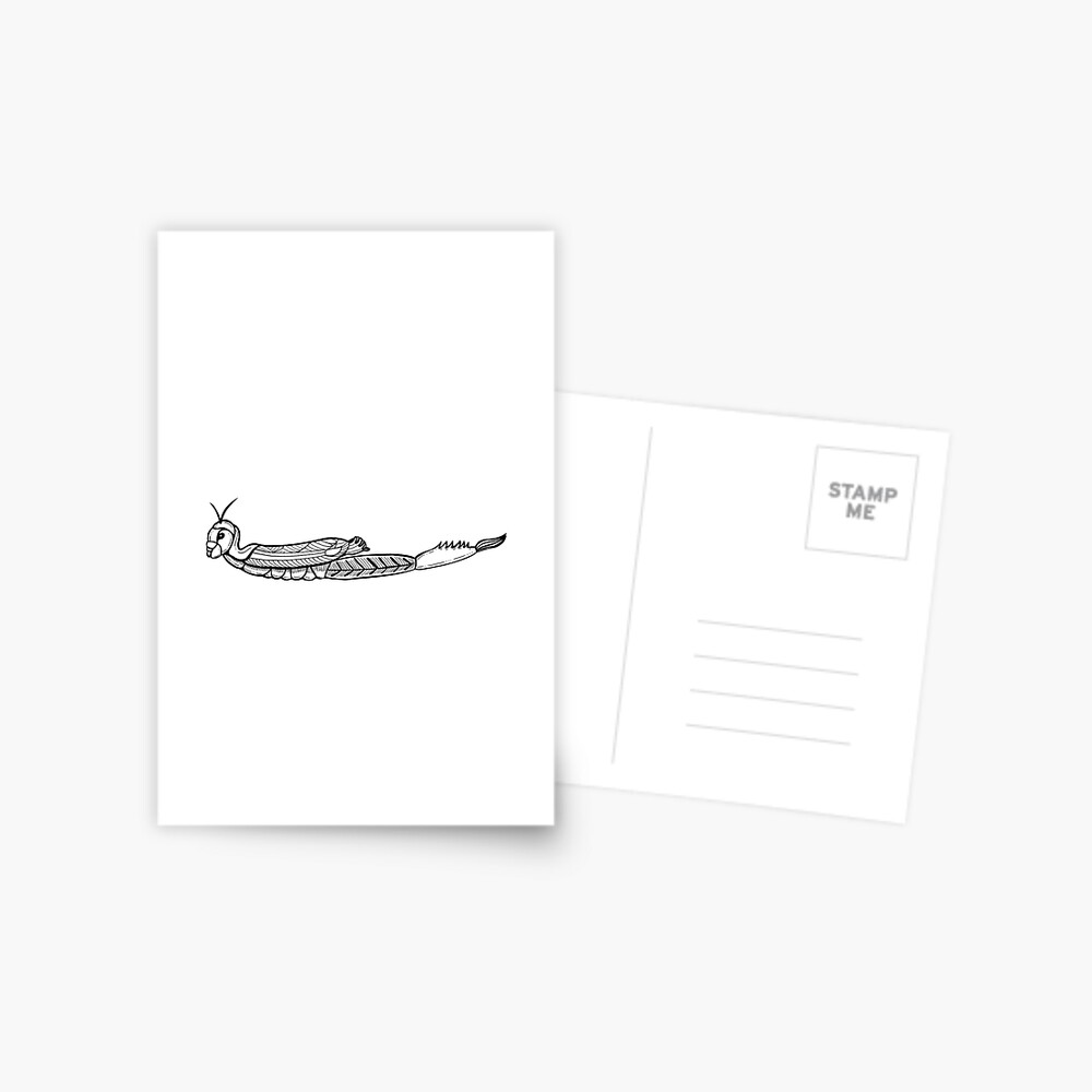 Salabhasana Drawing Salabhasana Drawing